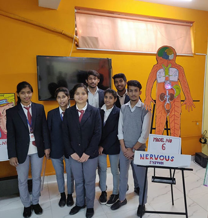 Skill Building, Job Oriented 1 year Diploma Program